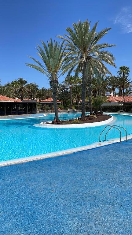 Sun Club Luxus Bungalow Projecto 65 Maspalomas  Esterno foto