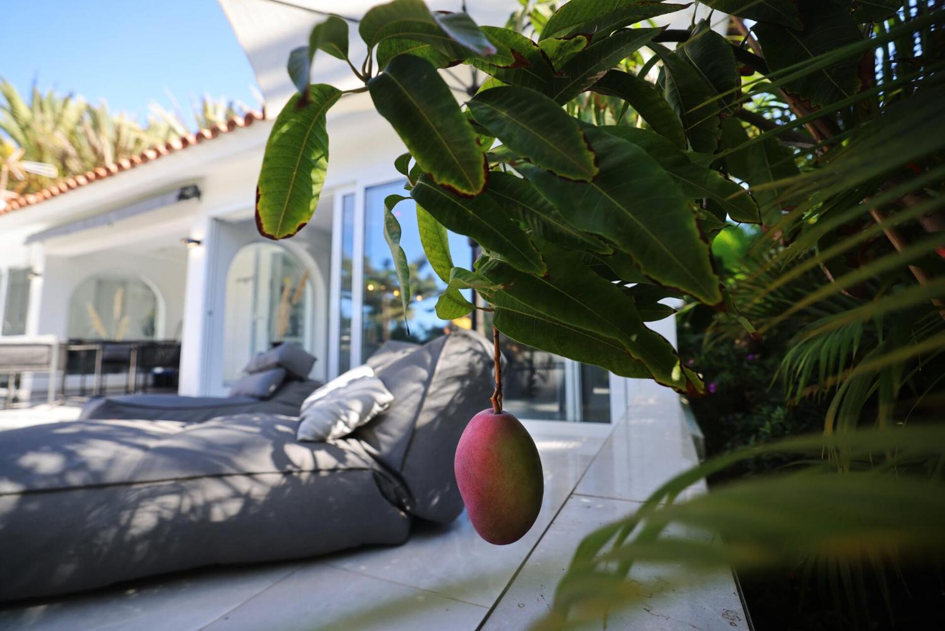 Sun Club Luxus Bungalow Projecto 65 Maspalomas  Esterno foto
